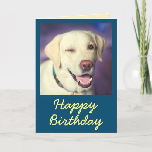 Retro Funny Dog and Happy Birthday Card