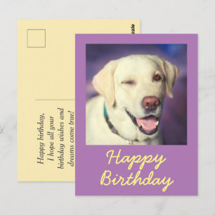 Retro Funny Dog and Happy Birthday Postcard