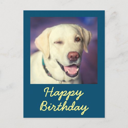 Retro Funny Dog and Happy Birthday Postcard