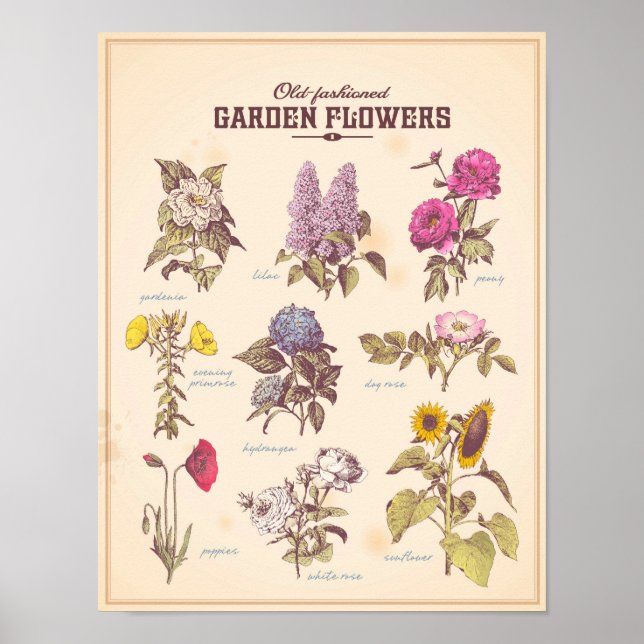 Retro garden flowers poster (Front)