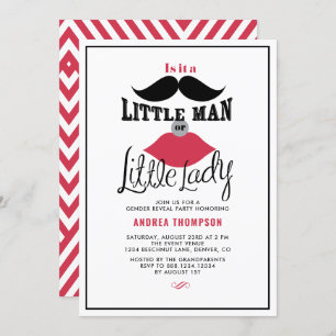 Retro Gender Reveal Baby Shower Invitation