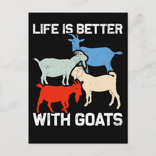 Retro Goats Animal Humor Goat Fan Postcard (Front)