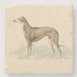 Retro Greyhound Whippet Print  Stone Coaster at Zazzle