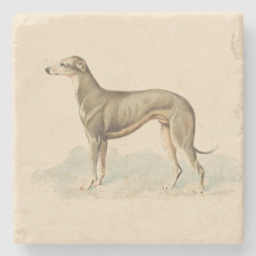 Retro Greyhound Whippet Print  Stone Coaster