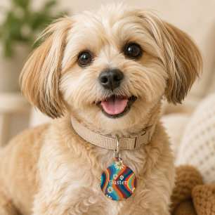 Retro Groovy 70's Rainbow Daisy Pet ID Tag
