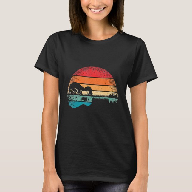 Retro Guitar Lake Sunset Guitarist Music T-Shirt (Front)
