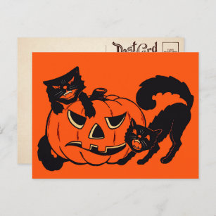 Retro Halloween Cats Postcard