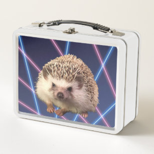 hedgehog lunch box