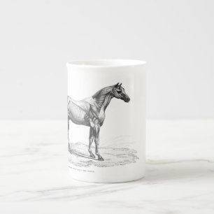 Retro horse muscle anatomy picture bone china mug