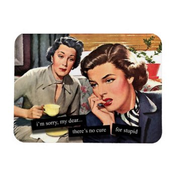 Retro Housewife 1950s "no Cure For Stupid" Magnet by TO_photogirl at Zazzle