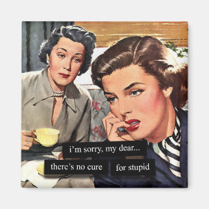 Retro Housewife "There's No Cure for Stupid" Magnet