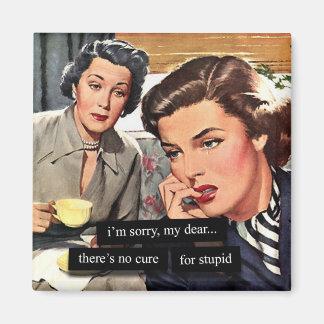 Retro Housewife "There's No Cure for Stupid" Magnet