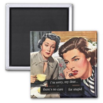 Retro Housewife "there's No Cure For Stupid" Magnet by TO_photogirl at Zazzle