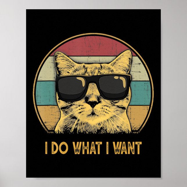 Retro I Do What I Want Cat Funny Cat Lover  Poster (Front)