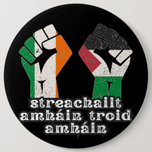 Retro Ireland Palestine Solidarity Fist revolution Button