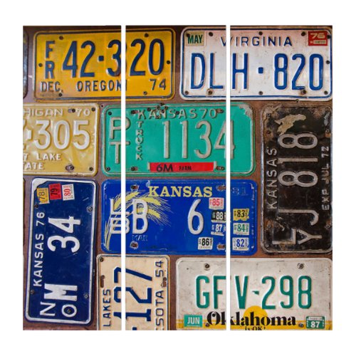 Retro License Plate Collection Triptych