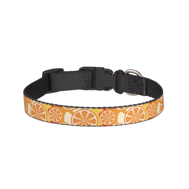 Retro Orange Citrus Pattern Pet Collar (Front)