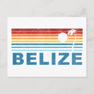 Retro Palm Tree Belize Postcard