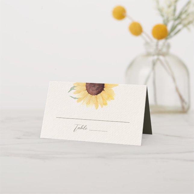 Retro Pastel Color Daisy Wedding Place Card (Front)