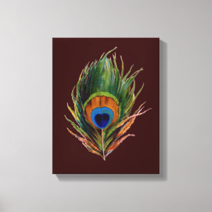 Retro Peacock Feather Canvas Print