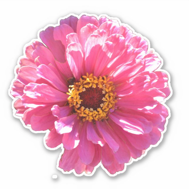 retro pink floral pink flower Pink Daisy sunflower Sticker (Front)