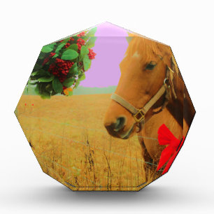 Retro pink sky Christmas Horse Acrylic Award