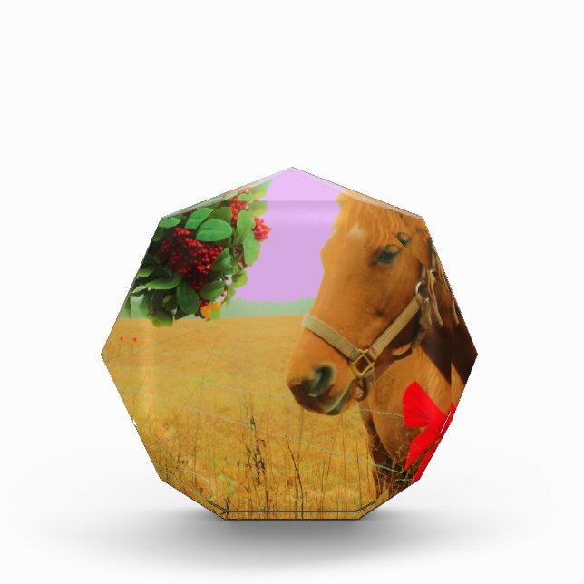 Retro pink sky Christmas Horse Award (Front)