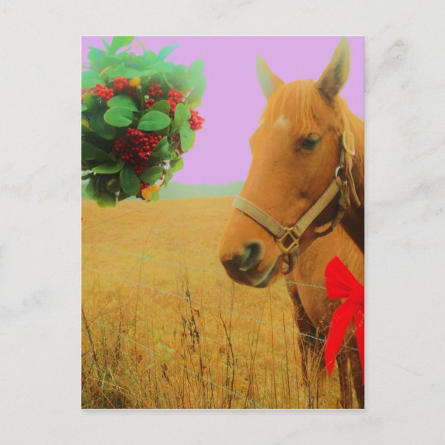 Retro pink sky Christmas Horse Holiday Postcard (Front)