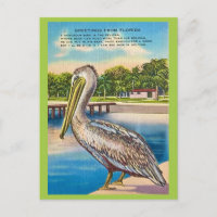 Retro Postcard of Florida