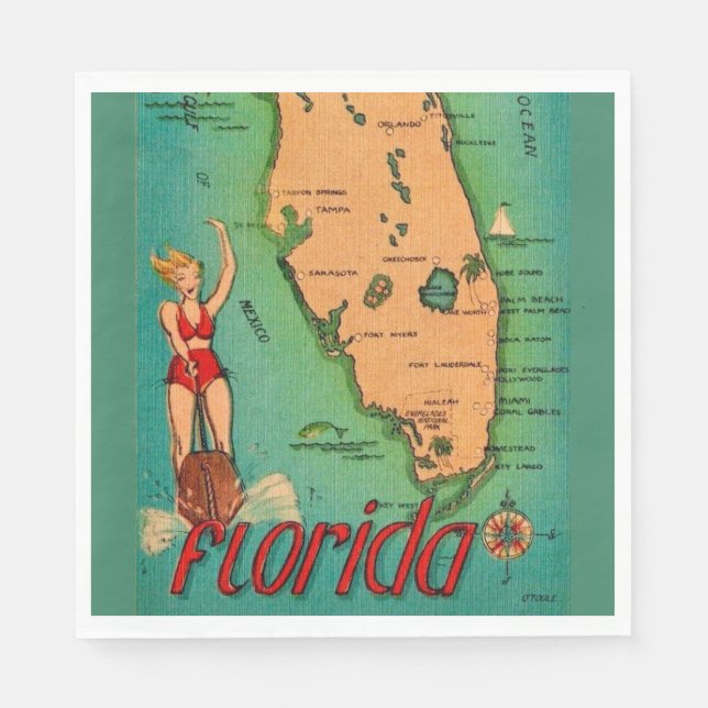 Retro Postcard of Florida  Napkins (Front)