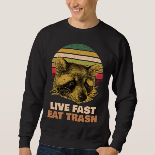 Retro Raccoon Funny Raccoons Lover Wildlife Fan An Sweatshirt