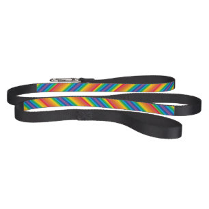 Retro Rainbows Pet Leash