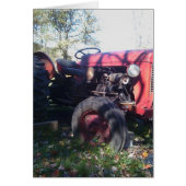 Retro Red Tractor (Front)