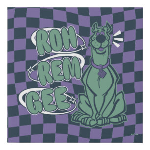 Retro Scooby "OMG" Faux Canvas Print