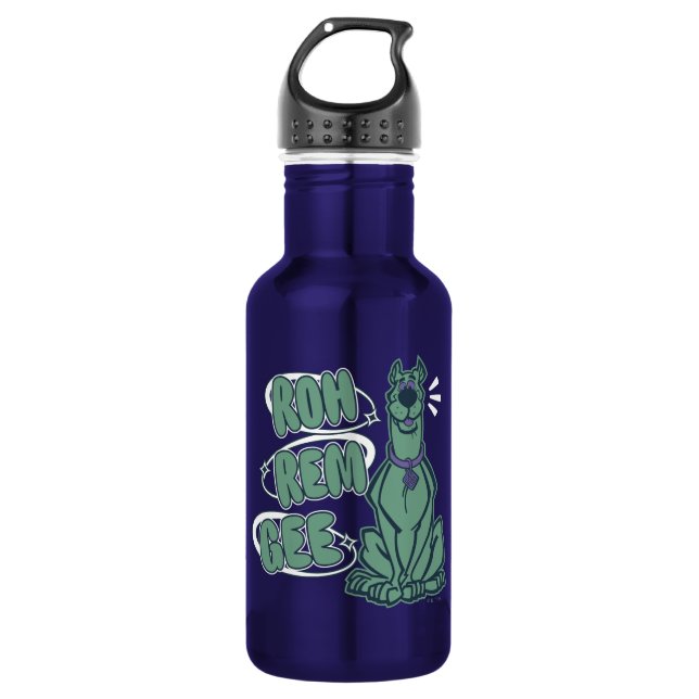 Retro Scooby "OMG" Stainless Steel Water Bottle (Front)