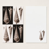 Retro Seashells Art Deco (Front & Back)