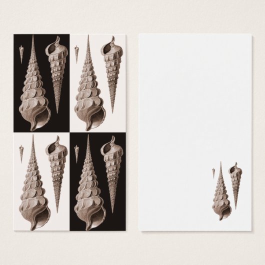 Retro Seashells Art Deco (Front & Back)