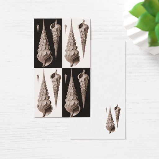 Customizable Retro Seashells Profile Card Business Cards