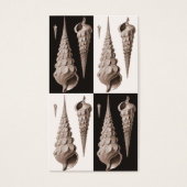 Retro Seashells Art Deco (Front)