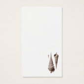 Retro Seashells Art Deco (Back)