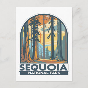 retro Sequoia National Park Giant Sequoia Trees Postcard