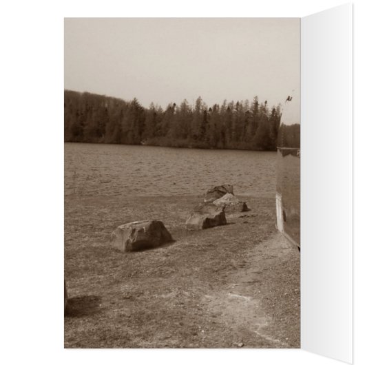 Retro shiny trip travel camping trailer camper fun (Inside (Left))