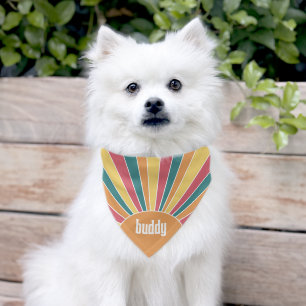 Retro stripe sunrise - pastel rainbow script name pet bandana collar