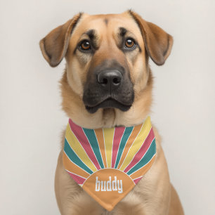 Retro stripe sunrise - pastel rainbow script name pet bandana collar