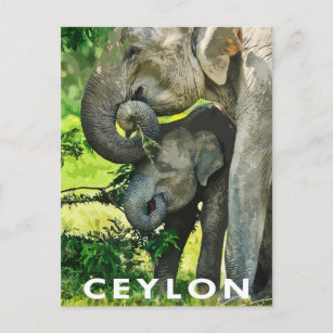 Retro Style Postcard Asian Elephants 