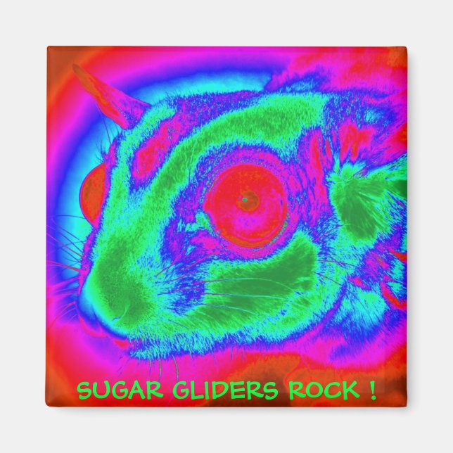 Retro Sugar Glider Magnet (Front)
