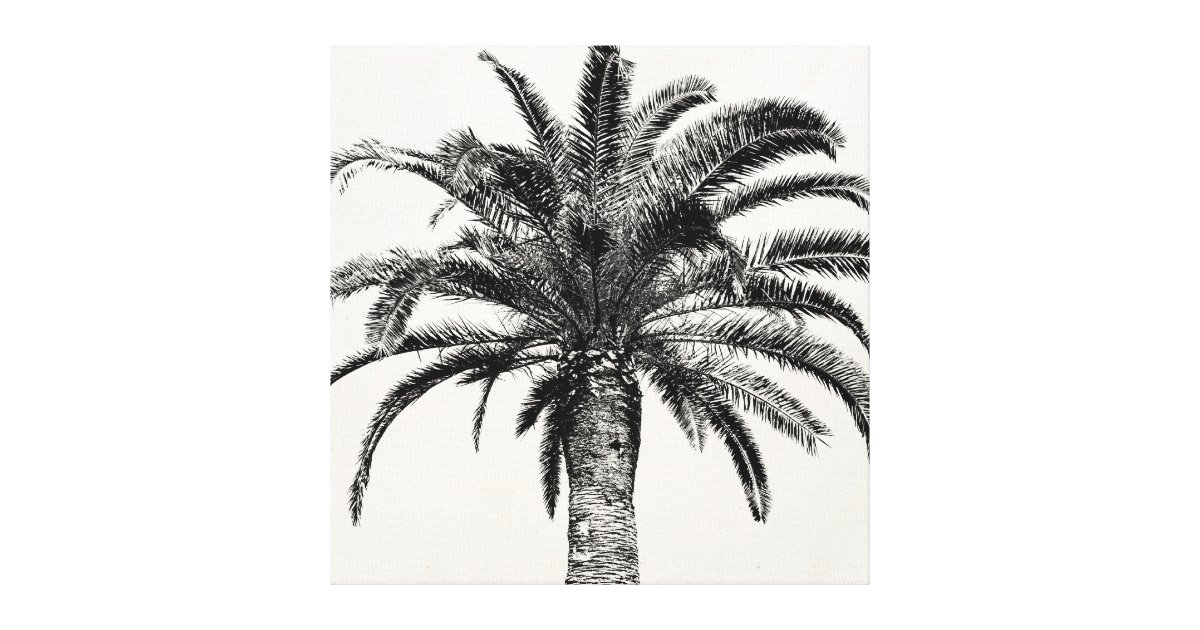Retro Tropical Island Palm Tree In Black And White Canvas