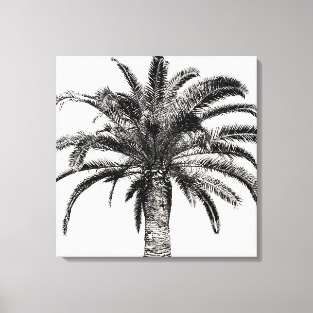 Retro Tropical Island Palm Tree in Black and White Canvas Print (Front)