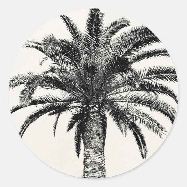 Retro Tropical Island Palm Tree in Black and White Classic Round Sticker (Front)