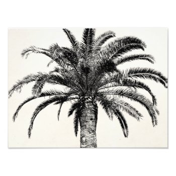 Retro Tropical Island Palm Tree In Black And White Photo Print by SilverSpiral at Zazzle